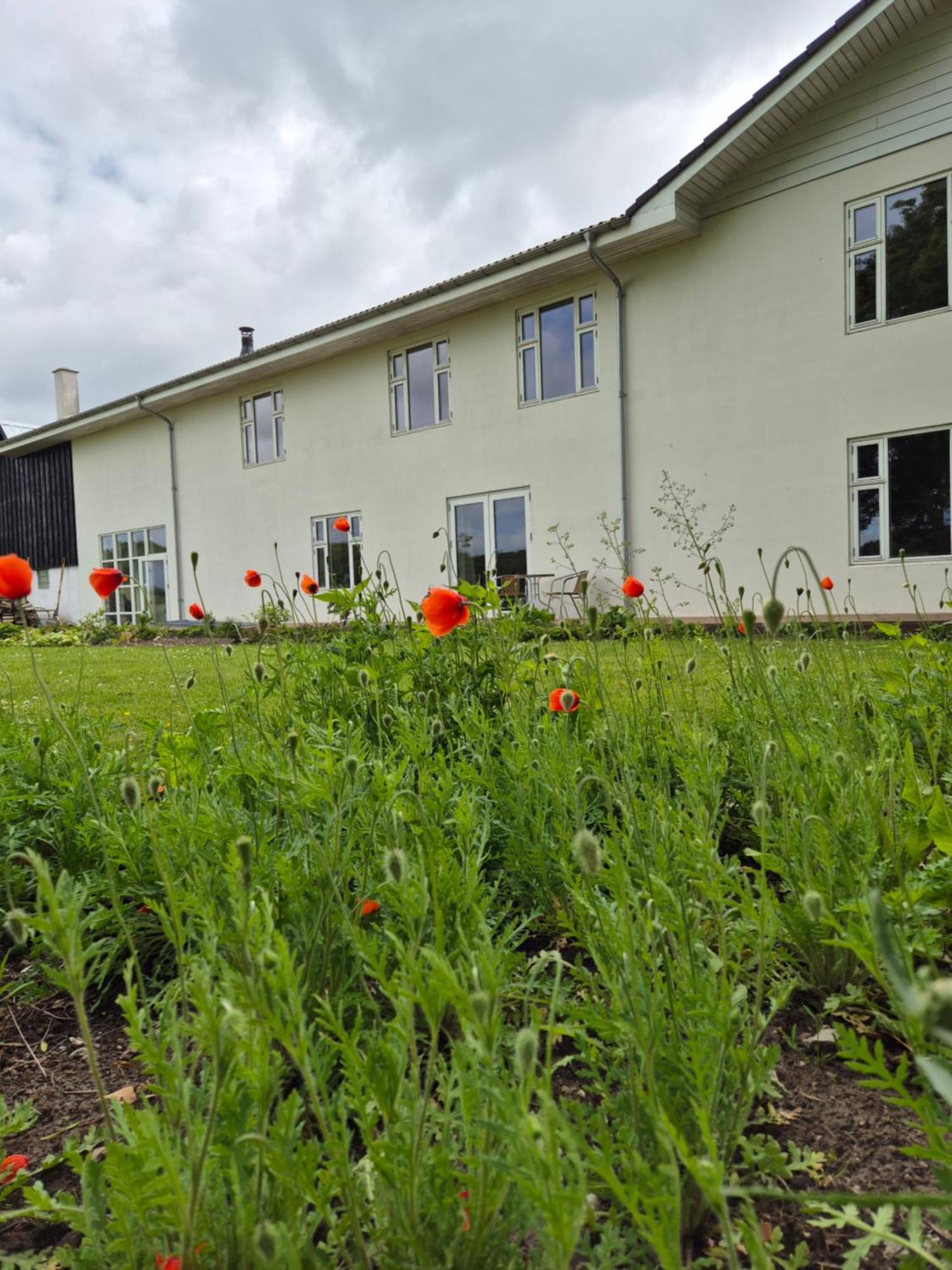 Mols Bed & Breakfast Knebel Exterior foto