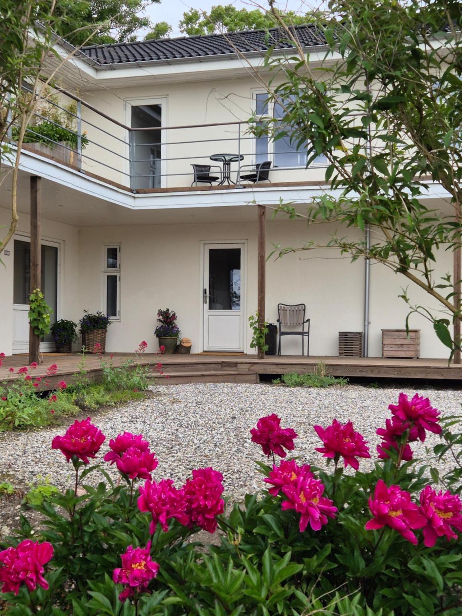 Mols Bed & Breakfast Knebel Exterior foto