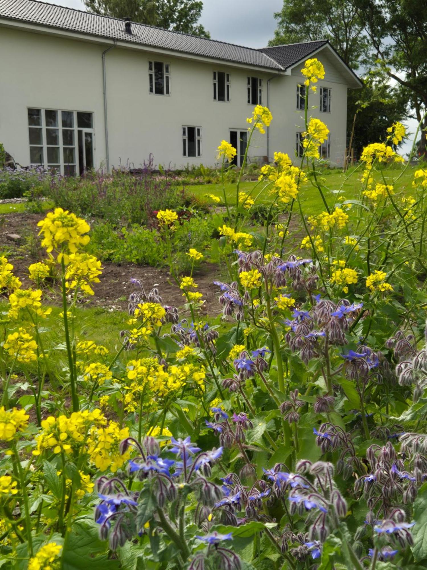 Mols Bed & Breakfast Knebel Exterior foto